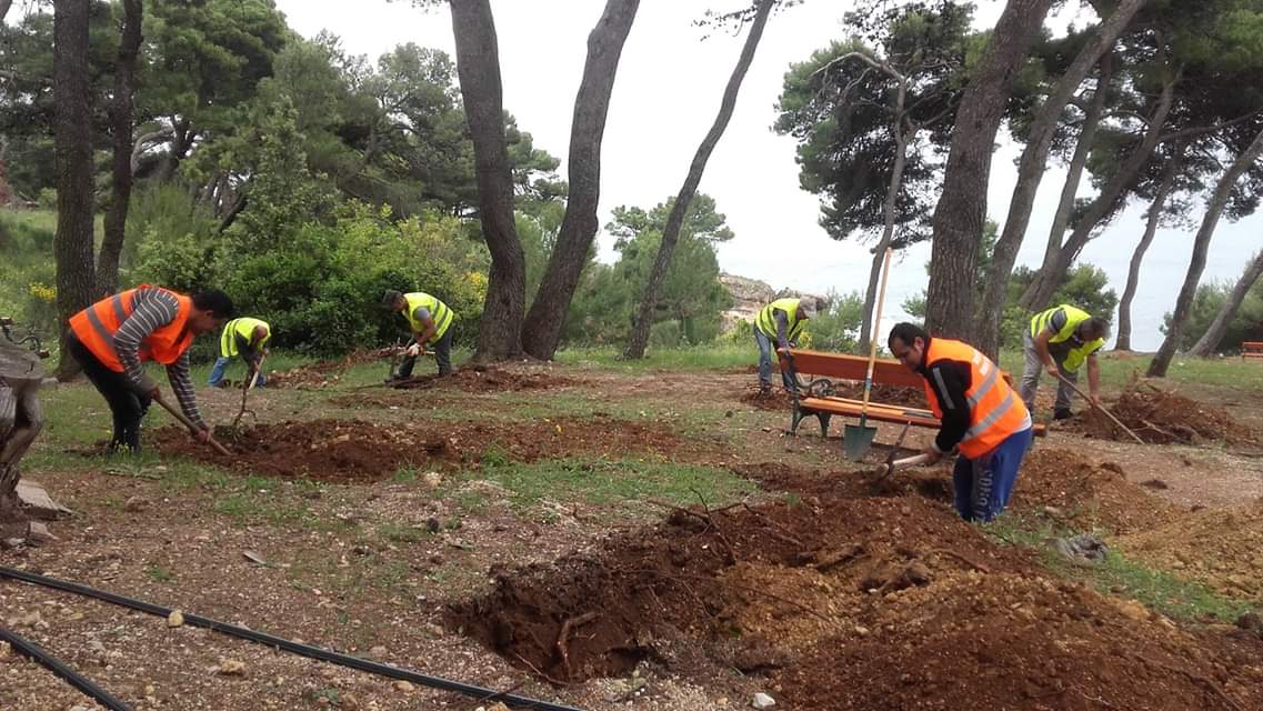 IMG-2394d27da80fa18deccd04de73bc1c11-V-2