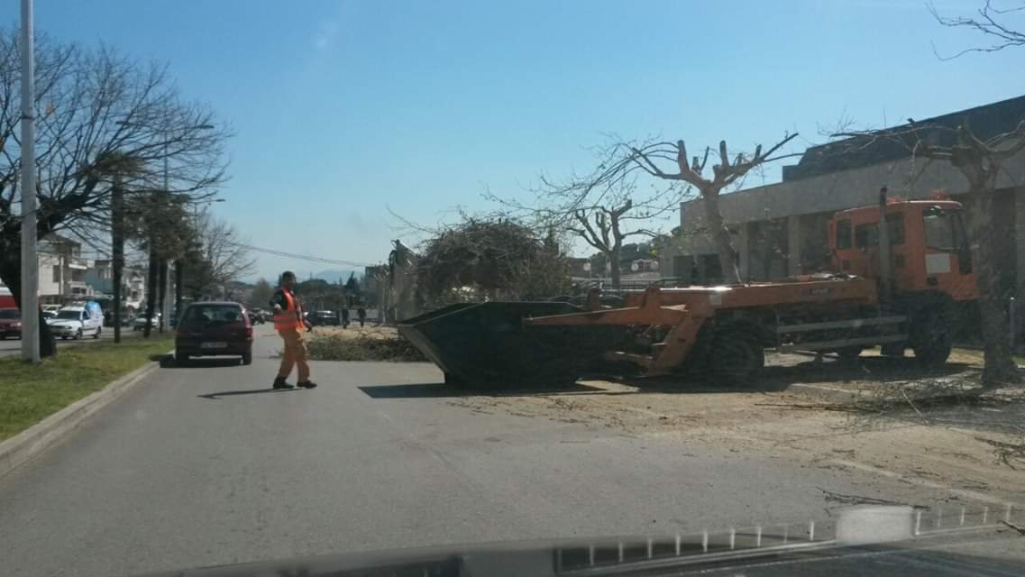 IMG-f152c2b807a03891e4c24958af1476aa-V-2