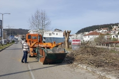 IMG-10bb9a56aa6d6f964f5b39aba9479c53-V