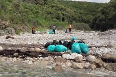 IMG-56407b72e49200b0ed870bf8900d79f9-V-2