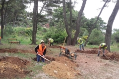 IMG-575e398a051f09cf0723c4c0d541193f-V-2